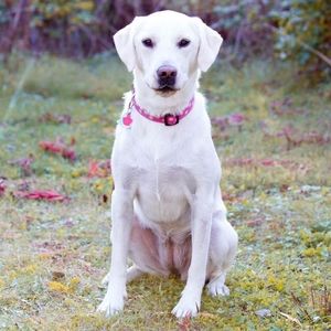 Meet your Posher, Tony